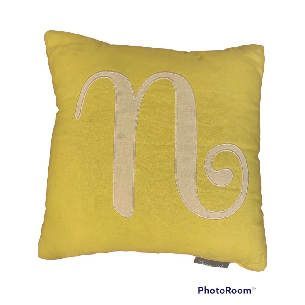 Land of Nod monogram lowercase n pillow